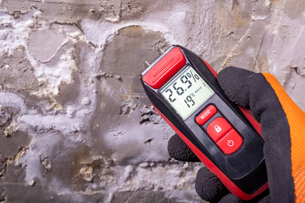 Certified Mold Removal in Santee, CA
