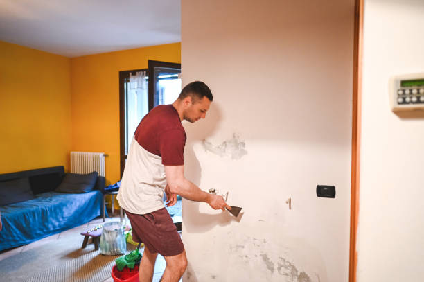 Best Mold Removal Company Near Me  in Santee, CA